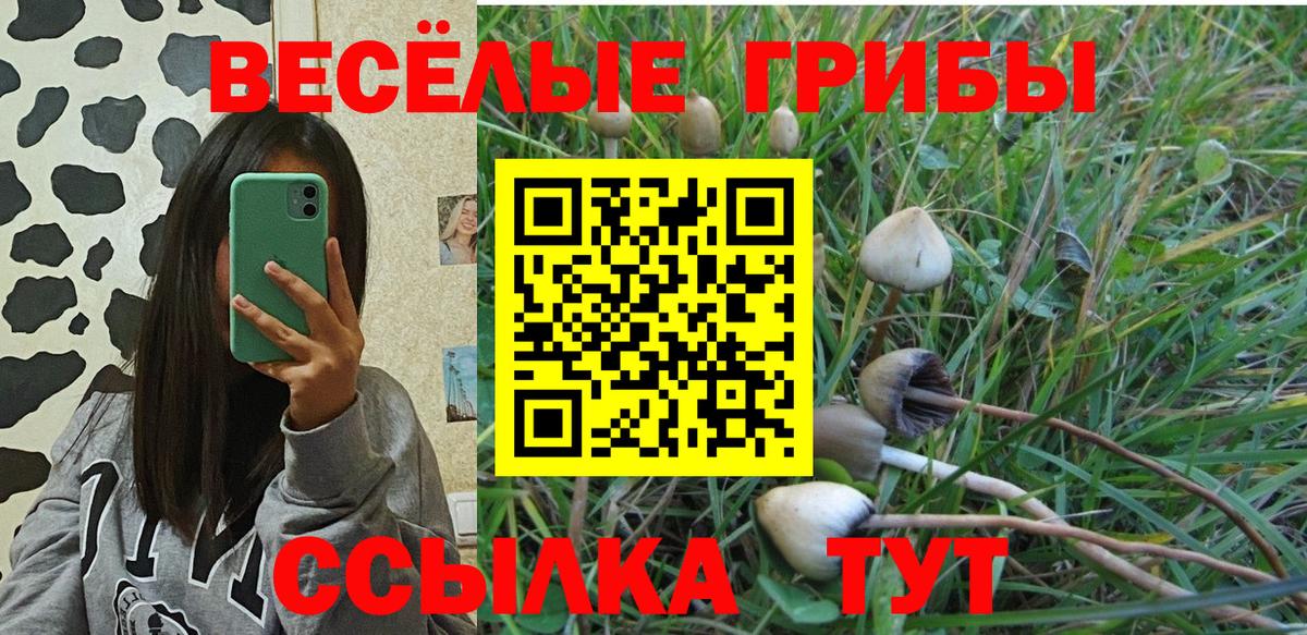 Донской  Псилоцибиновые грибы Psilocybine cubensis  Галлюциногенные грибы MAGIC MUSHROOMS  Вход с VPN 